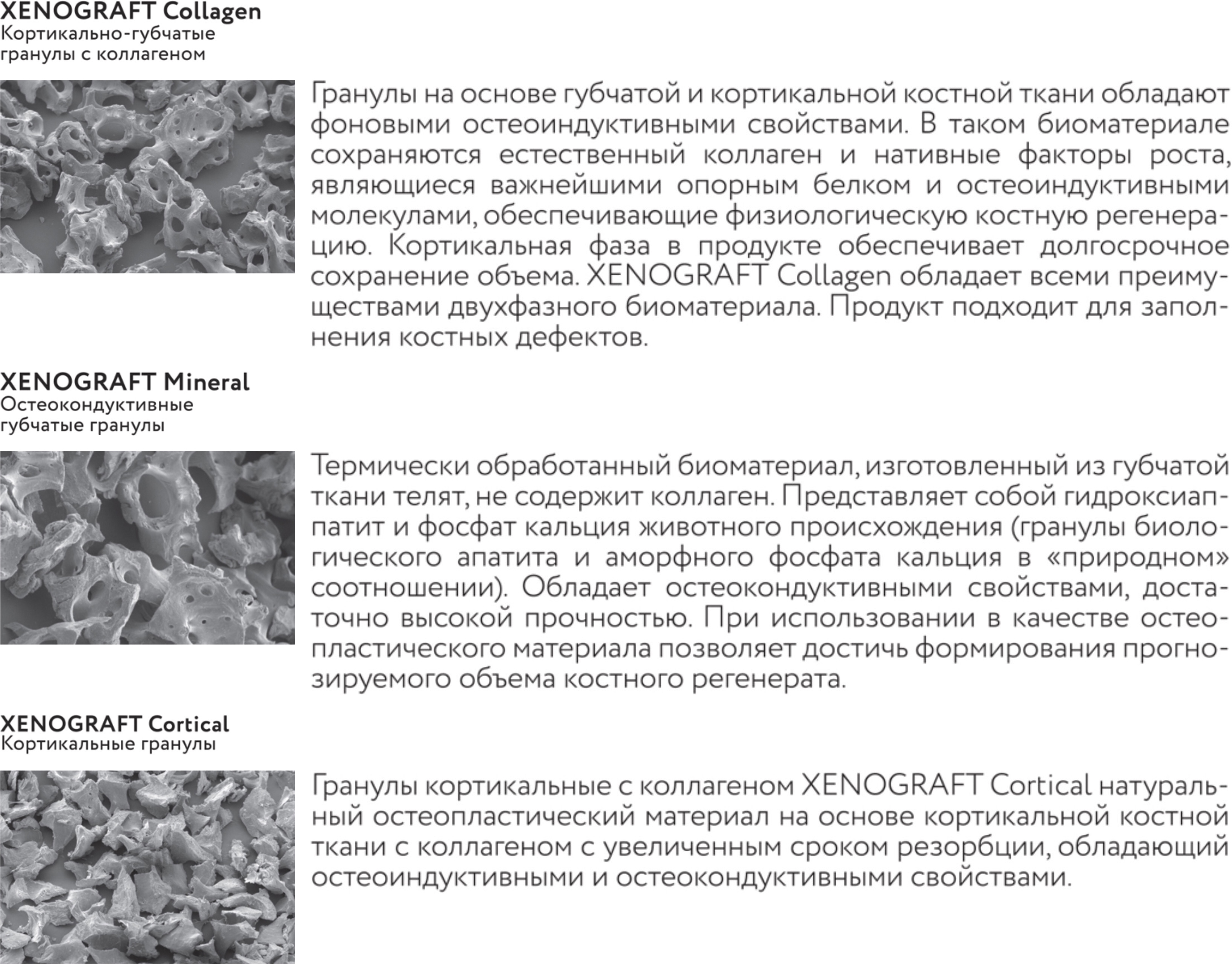 XENOGRAFT